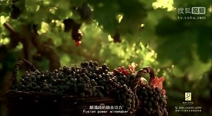 法国珍娜斯葡萄酒