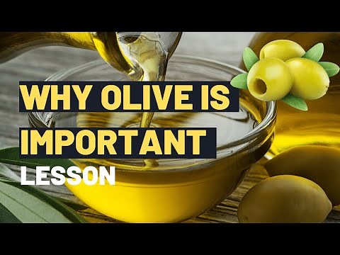 The Importance of the Olive Plant for Kids | How Olive Oil is Good for Health | Olive Oil Benefits