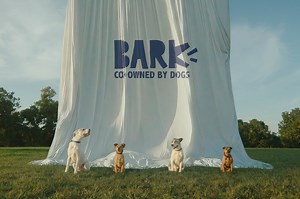 BARK: BARK in the Belly • Ads of the World™ | Part of The Clio Network