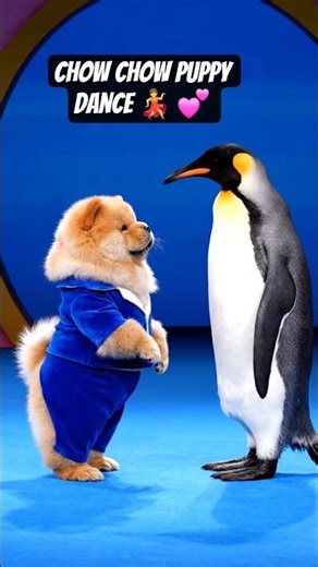 chow chow puppy dance 💃 #cute #dog #chowchow