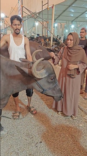 subscribe jarur kijiye 🙏🏻 ll Deonar Pada Mandi 💫