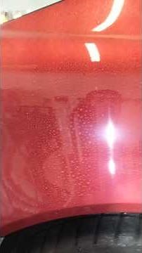 Menzerna 3 in 1 One Step Polish Review (Cut Gloss