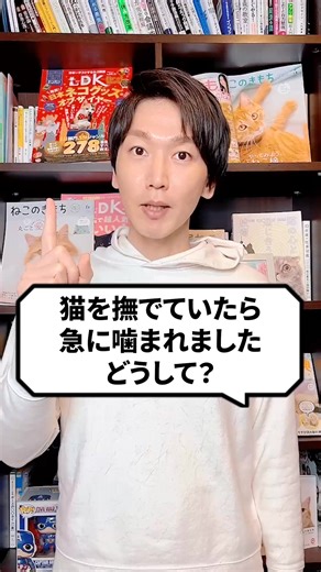 猫に噛まれた理由と対処法