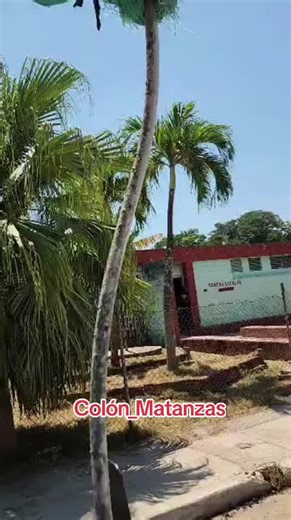 Colón_Matanzas mi pueblo querido #tiktok #colón #viralvideo #creatorsearchinsights #cuba #cubanosporelmundo #fyp