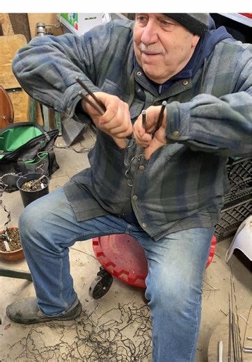 Bonsai Society on TikTok