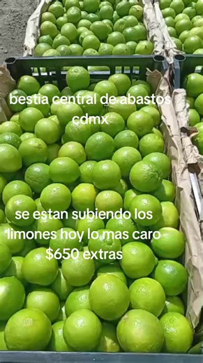 Precio de limones en Central de Abastos CDMX hoy — ¿$650?