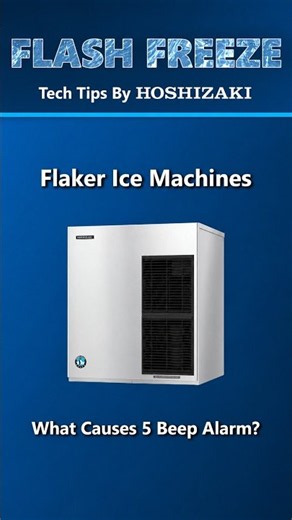 Flash Freeze: What Causes a Flaker 5 Beep Alarm