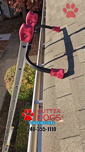 Professional Gutter Cleaning Clinton, MD
