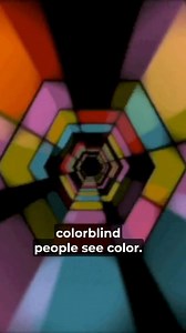 2.4K views · 3 comments | Did you know that…? 邏 Check out 4 fun facts about glasses that will blow your mind! #glassesUSA #FunFacts #EyewearLove ️ https://glassesusa.me/GlassesUSAcom | GlassesUSA.com | Facebook