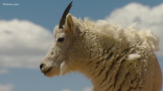 Popular Colorado 14er summit to close for the season