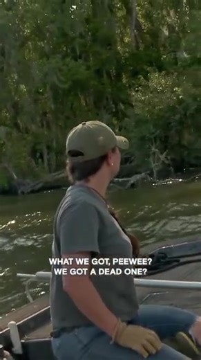 Hunting the Cannibal Alligator: An Expert's Guide