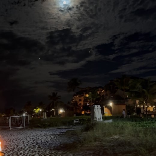 Torrie Wilson on Reels