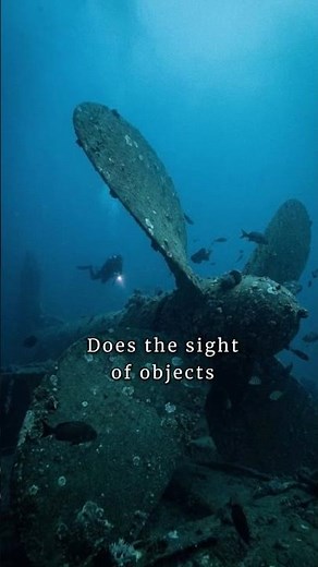 Why Underwater Objects Scare You