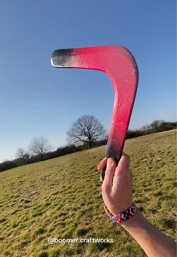Somehow reminds me of a 🦩 #boomerang #Bumerang #bumerangue #ブーメラン #Бумеранг #回飞镖 #부메랑 #بوميرانج #בומרנג #boomer #boomercraftworks