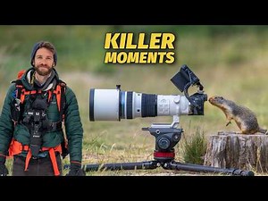 WILDLIFE PHOTOGRAPHY of SMALL ANIMALS - SHARP PRO IMAGES using the OM-1 Mark ii.