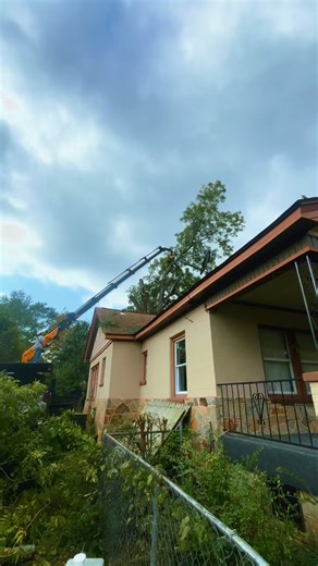 All in a day’s work🌳 | Cameron Craig