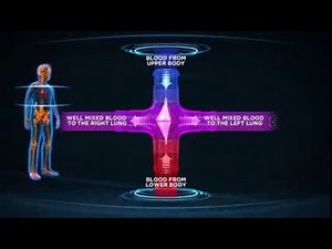 Heart Pump Motor Animation