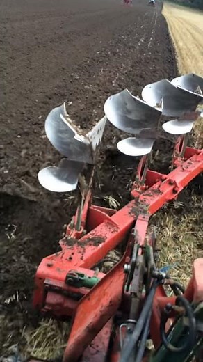 Ploughing in Massey Ferguson 6170