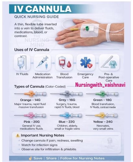 vaishnavi derkar on Instagram: "@nursingwith_vaishnavi IV Cannula - Quick Nursing Guide 💉 From 14G to 24G, choosing the right cannula size is critical for ✔ patient safety ✔ effective therapy ✔ emergency management This quick guide covers uses, color coding, and nursing considerations every nurse must know for NCLEX, AIIMS NORCET & clinical practice. 💡Right size. Right patient. Right care. 💾 Save this post for quick revision ➡️ Share with nursing friends #staffnurse urse #nursingstudents uden