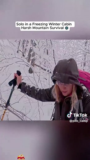 Winter Survival: Alone in a Cold Cabin Experience