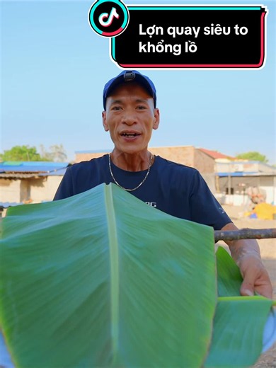 Ẩm thực lợn quay siêu to khổng lồ #haotrocvlog | food eating videos