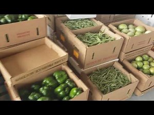 Amish produce auction Clark Missouri