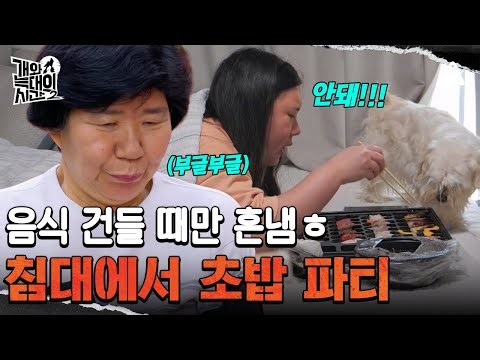 ＂홀리홀리(?) 3만원 태우는 여자~＂ 침대에서 펼쳐지는 31피스 초밥 파티! (엄마는 환장ㅠ...) | 개와 늑대의 시간2 25 회