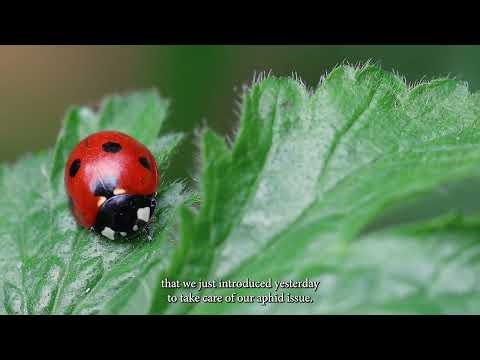 Teaching About Food Systems