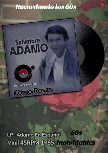 Cuentas recomendadas