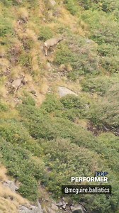 9.7K views · 374 reactions | @mcguire.ballistics ... Scott Mcguire...