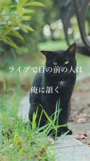 好きなものでもなぜか味は不味く感じる（SWAN - Walk）#hiphop #日本語ラップ #shorts #fyp #swan #オリジナル曲 #歌詞動画 #rap