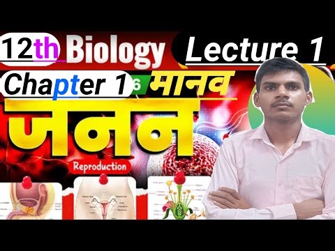 Female Reproductive system. मादा जनन तंत्र।। class 12th Biology. Human reproduction...