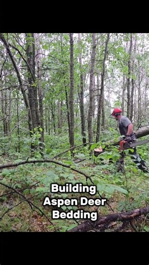 Instant Aspen Deer Bedding