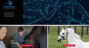 THE SCIENCE | Equine Analysis