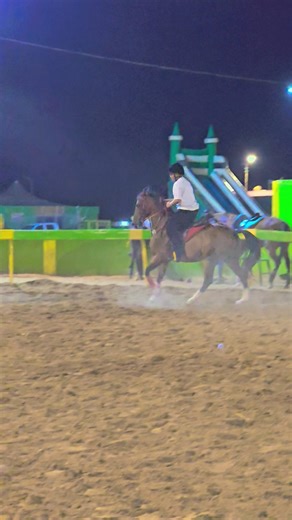 three people continuous riding 1 hour #trending #horse #ukw #equestrian #ukgraps #shorts #short