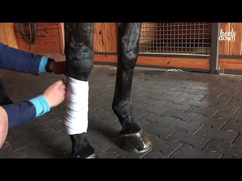 Polo Wrap a Horse's Leg the Right Way by Courtney Carson
