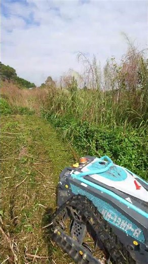 Advanced Performance Lawn Mower For Continuous Commercial Use
