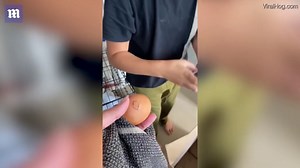 Mum gets prankster son back with hilarious hatching egg trick