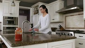 Bissell PowerFresh Deluxe + Eucalyptus Mint Water