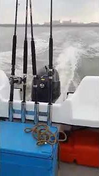 Maiden Voyage Seahog Seatrooper with a 2020 Tohatsu MFS60A #fishing #seahog #tohatsu #fypシ゚viral