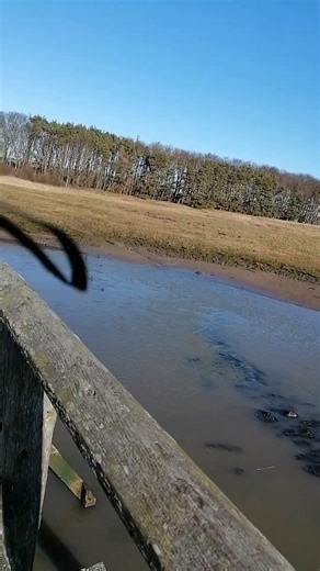 GULLANE BEACH SCOTLAND P1