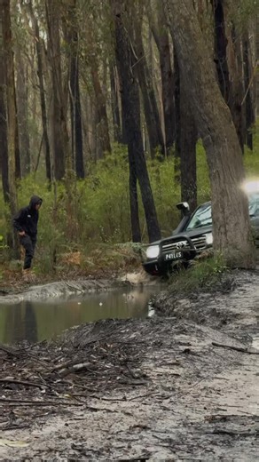 Sunny Gippsland ☀️🐄 #landcruiser #toyota #4x4 #105 #goodtimes #adventure | Paylos