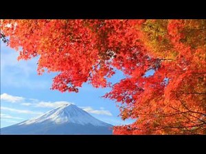 娘よ（益田喜頓）by Movie Maker