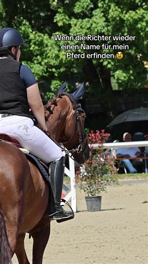 Die lustigen Momente im Springreiten