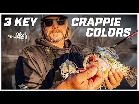 3 Best Lure Colors for Crappies | Jigs and Plastics