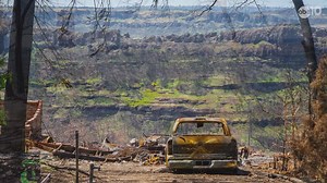 Camp Fire: One Year Later | Need to Know