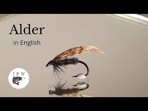 Tying a fly called Alder Fly Tying tutorial | Ívar's Fly Workshop