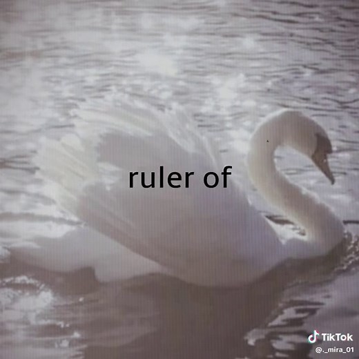 Ruler of My Heart (Till Version) Lyrics