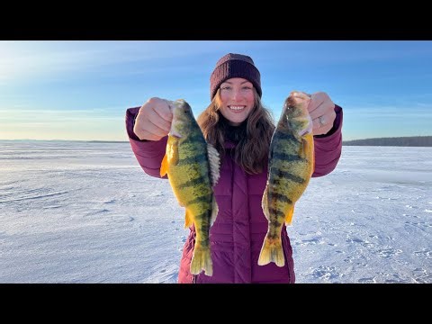 JUMBO Perch Catch and Cook (UNREAL Day Ice Fishing)