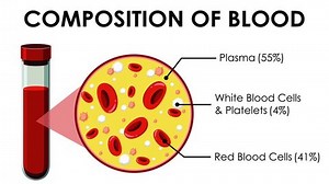 Animation Showing Composition Human Blood Stock Footage Video (100% Royalty-free) 1098096645 | Shutterstock